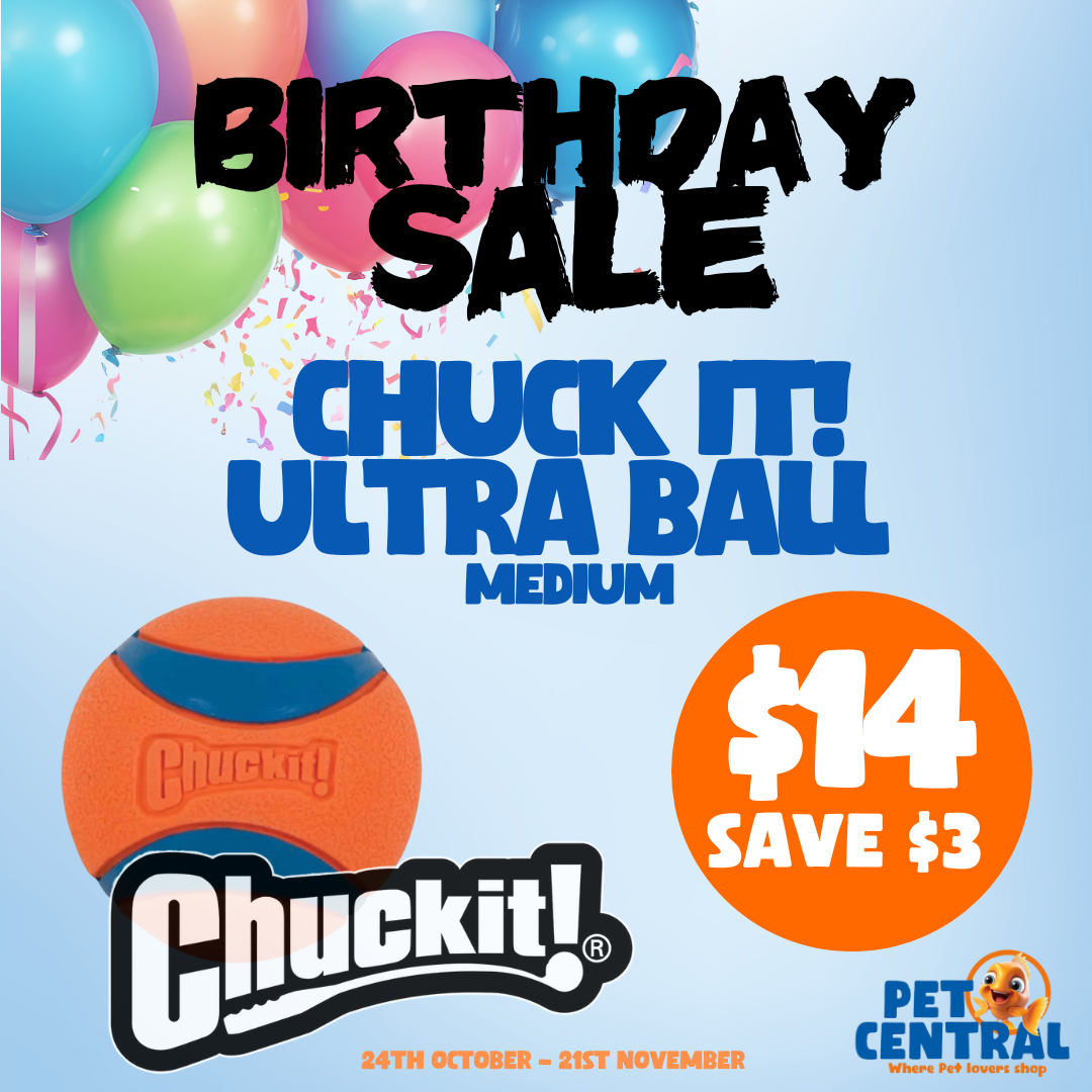 Chuckit Ultraball Medium - No Packaging BIRTHDAY PROMO