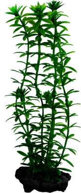 Tetra DecoArt Plantastics Anacharis