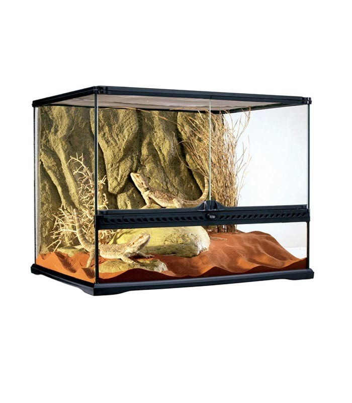 Exo Terra Glass Terrarium