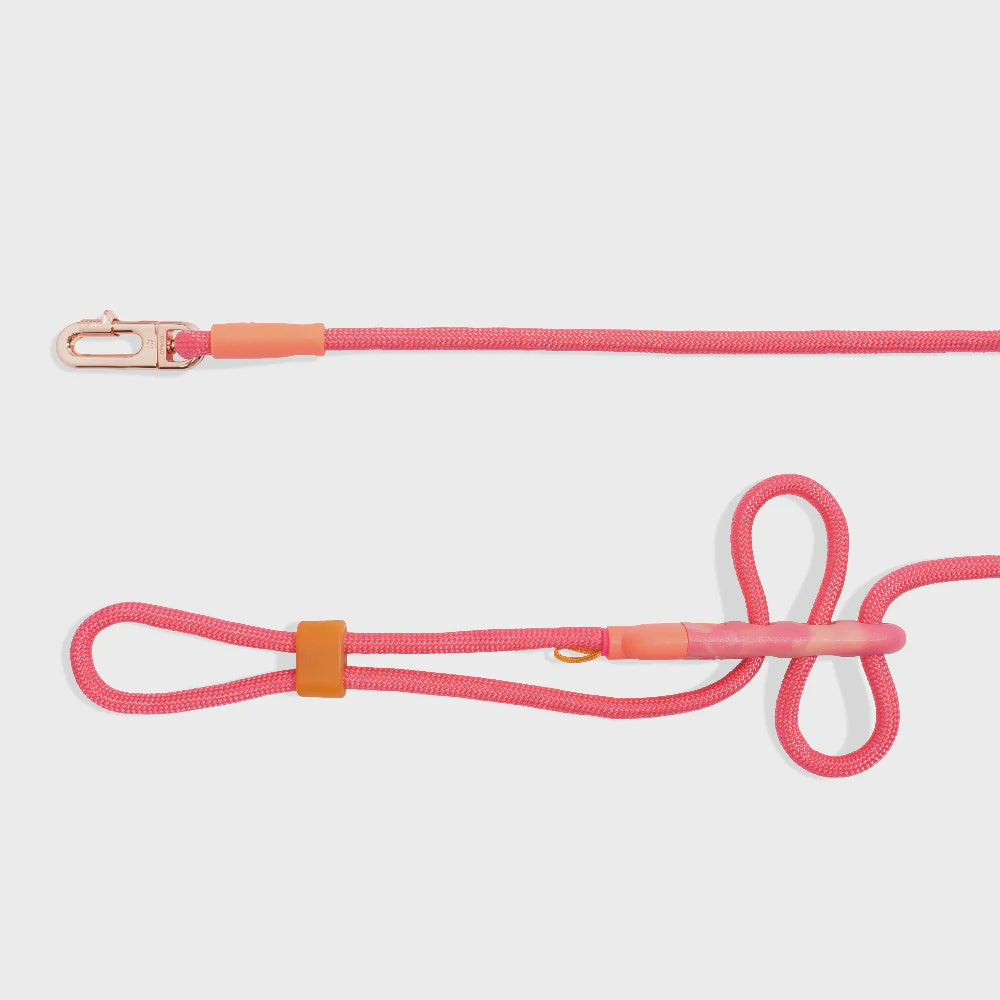 Zee Dog Hands Free Leash Gazelle