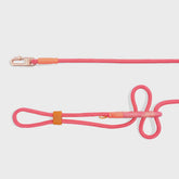 Zee Dog Hands Free Leash Gazelle