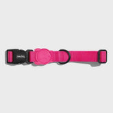Zee Cat Solid LED Collar