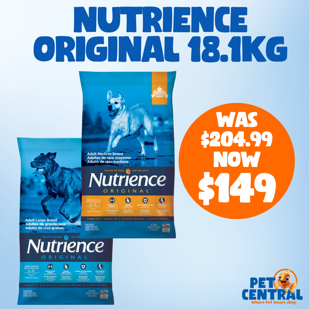 Nutrience Original Medium Breed