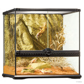 Exo Terra Glass Terrarium
