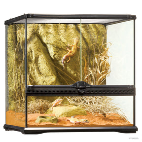 Exo Terra Glass Terrarium