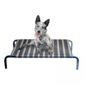 Leisure Raised Dog Bed