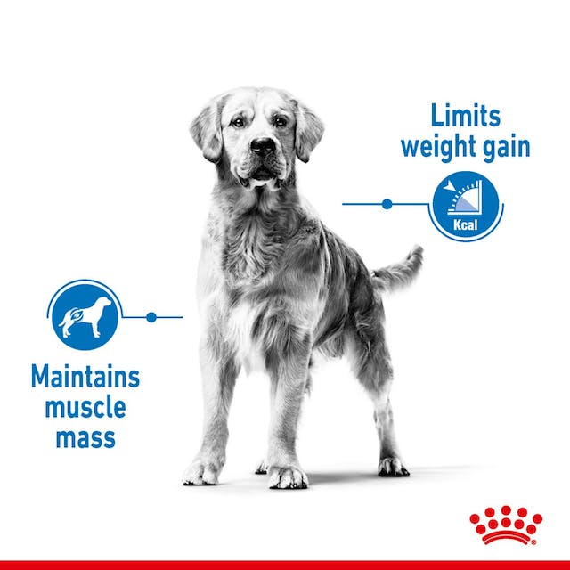 Royal Canin Maxi Light Weight Care 12kg