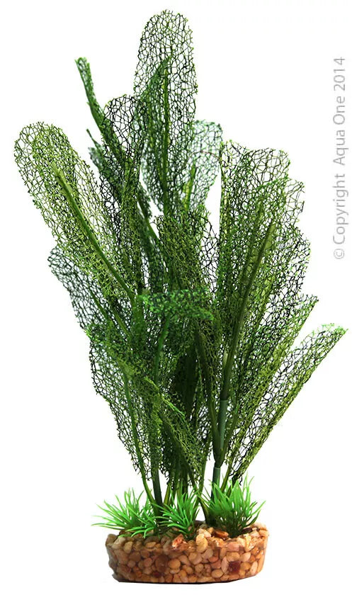 Aqua One Silk Plant - Madagascar