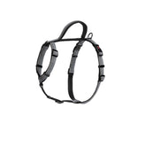 Halti Walking Harness Black