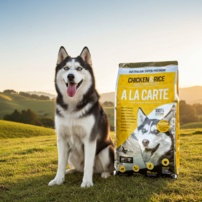 A La Carte Adult Chicken and Rice