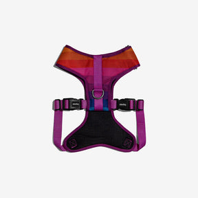 Zee Dog Prisma Air Mesh Harness Medium