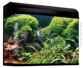 Aqua One AquaStyle 980T Tank