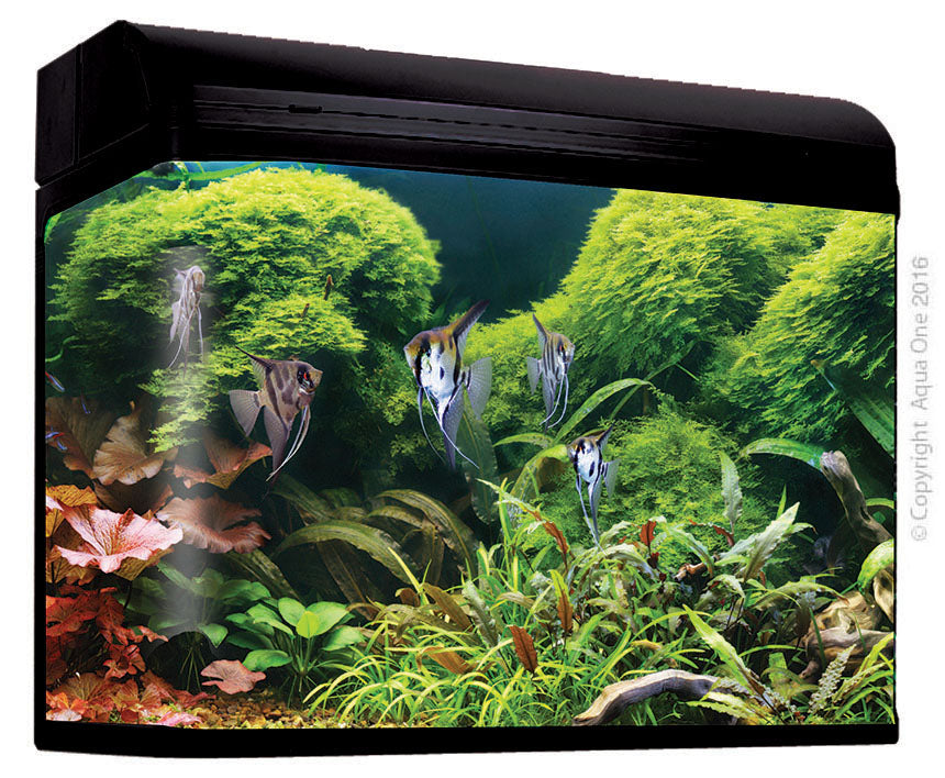 Aqua One AquaStyle 980T Tank