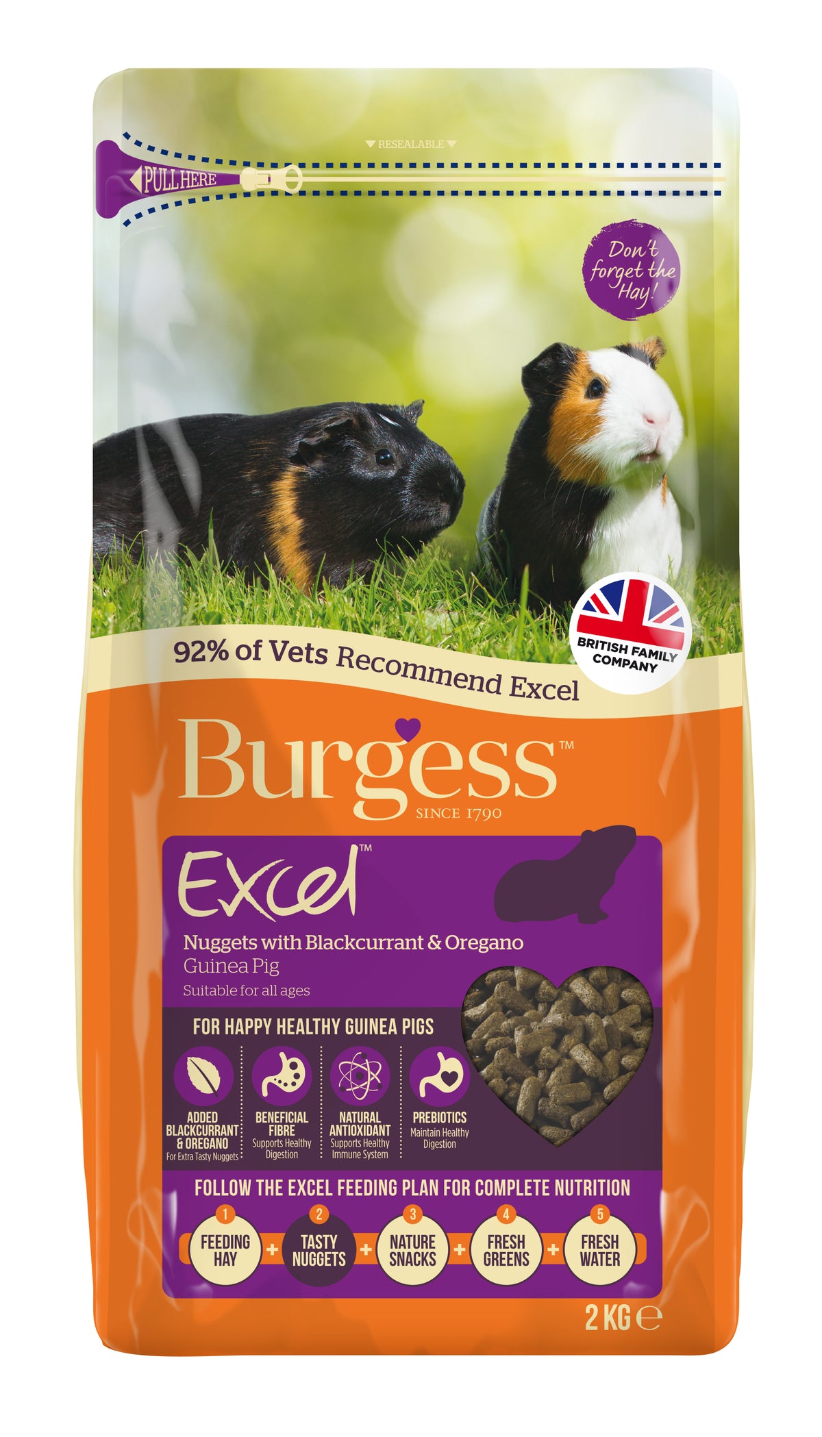 Burgess Excel Guinea Pig Nuggets with Blackcurrant and Oregano