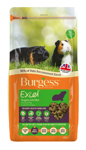 Burgess Excel Guinea Pig Nuggets with Mint