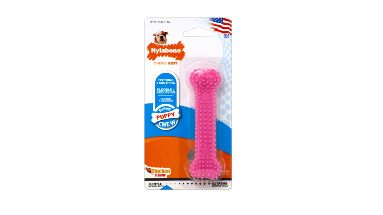 Nylabone Puppy Dental Chew