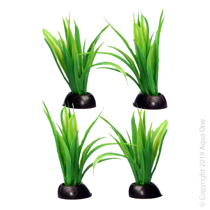 Aqua One Ecoscape Foreground Lilaeopsis 4pk Green