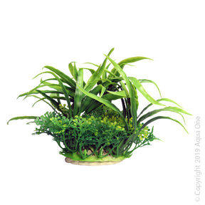 Aqua One Ecoscape Small Crinum Green