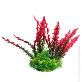 Aqua One Ecoscape Medium Ruffled Lace Plant Red