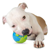 Planet Dog Ball