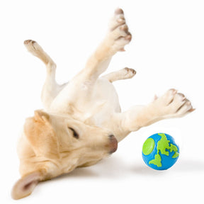 Planet Dog Ball