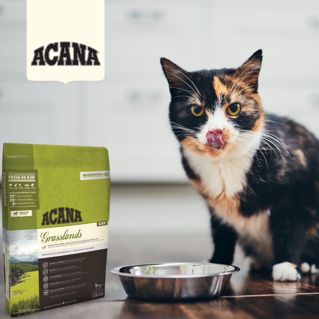 Acana Cat Grasslands