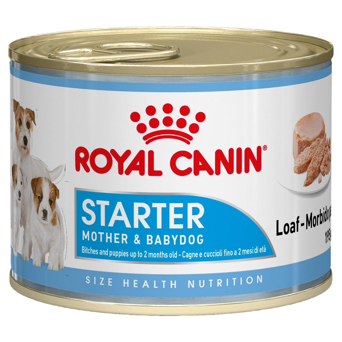 Starter royal canin shops mousse