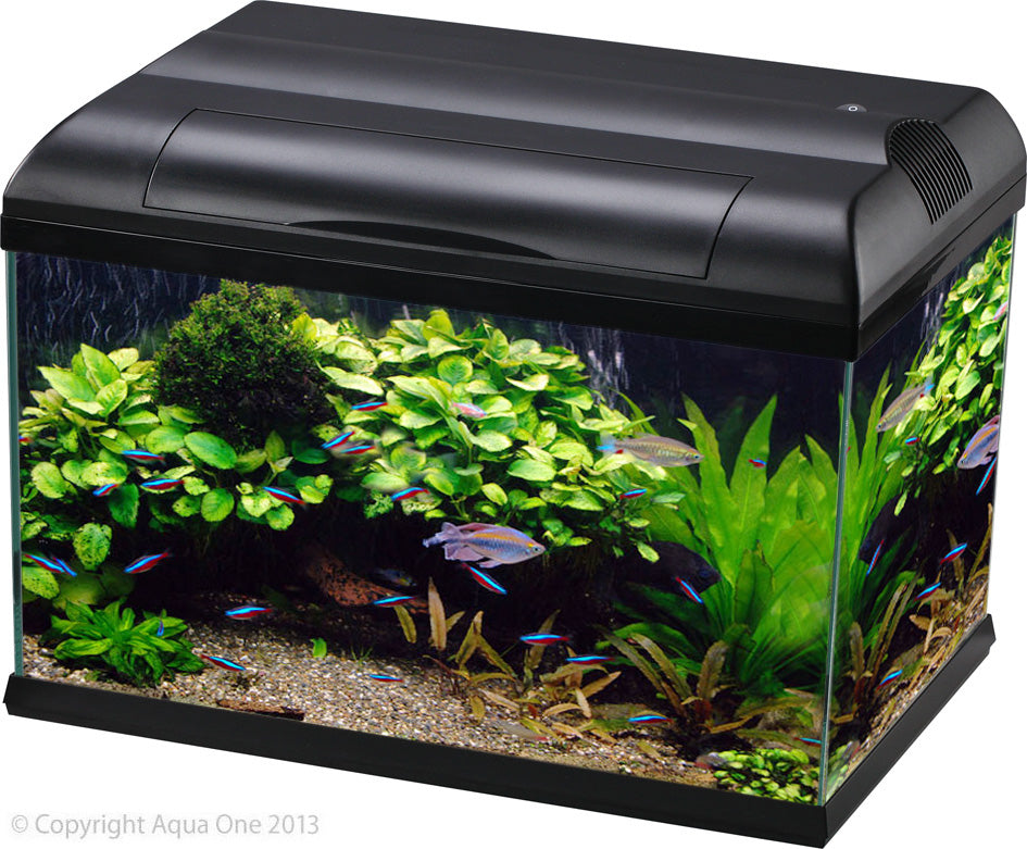 Aqua One Ecostyle 61 Tank