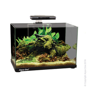 Aqua One Focus Aquarium