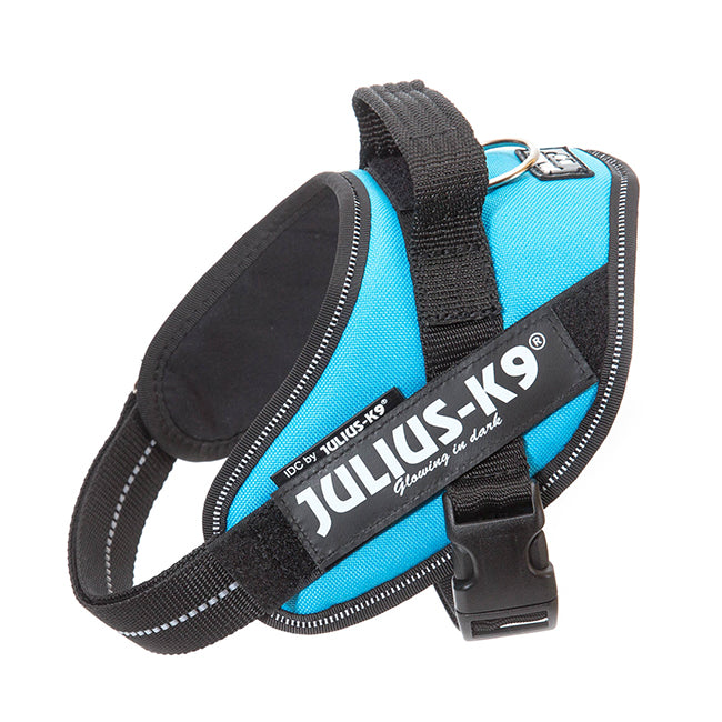 Julius K9 Harness