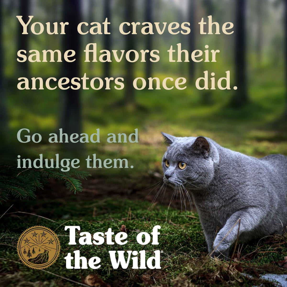 Taste of the Wild Cat Rocky Mountain 2kg