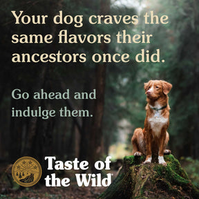 Taste of the Wild Dog Pine Forest