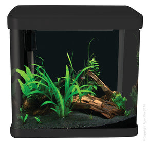 Aqua One Lifestyle 21 Tank