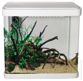 Aqua One Lifestyle 21 Tank