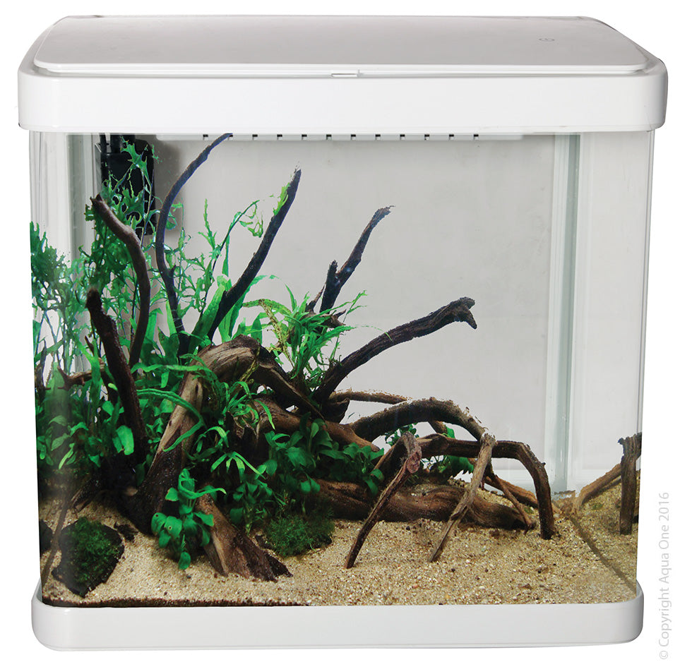 Aqua One Lifestyle 21 Tank