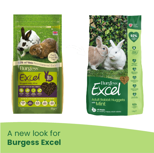 Burgess Excel Adult Rabbit Nuggets with Mint