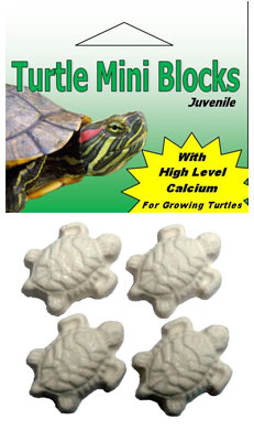 Turtle Health Block Turtle Mini Health Block
