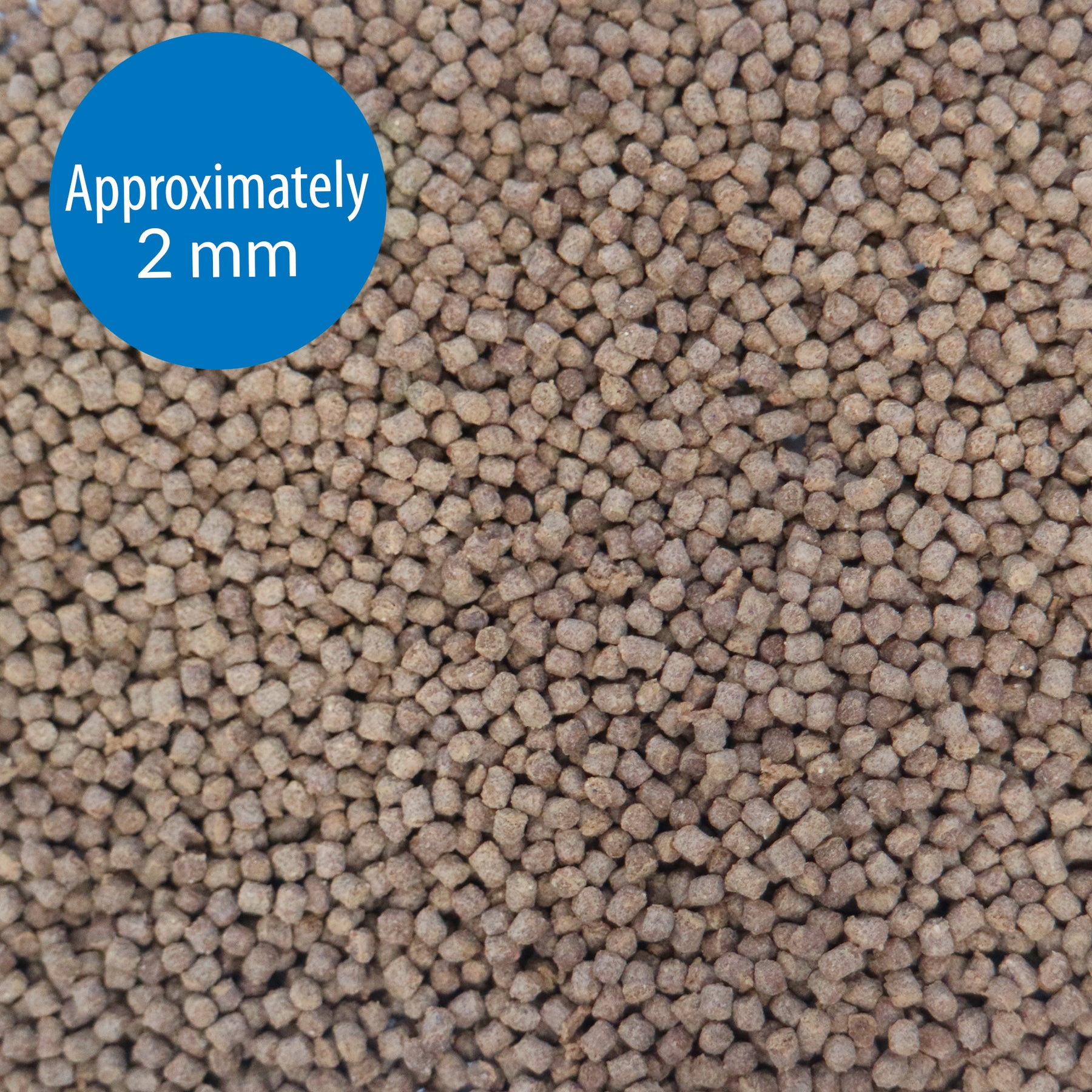 API Betta Pellets 22g