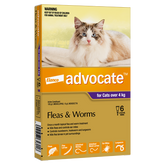 Advocate Cat