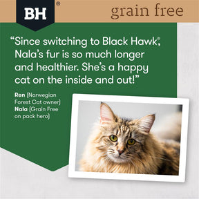 Black Hawk Grain Free Cat Chicken and Turkey