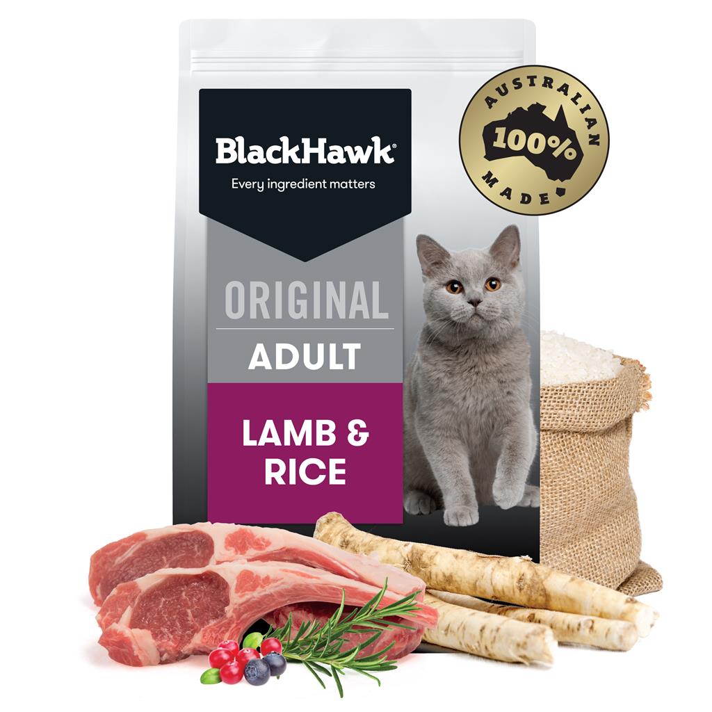 Black Hawk Cat Lamb