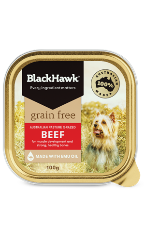 Black Hawk Grain Free Beef Tin