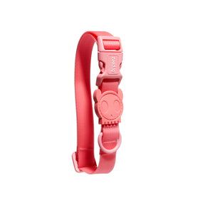 Zee Dog Neopro Collar