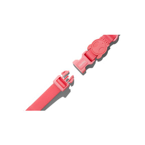 Zee Dog Neopro Collar