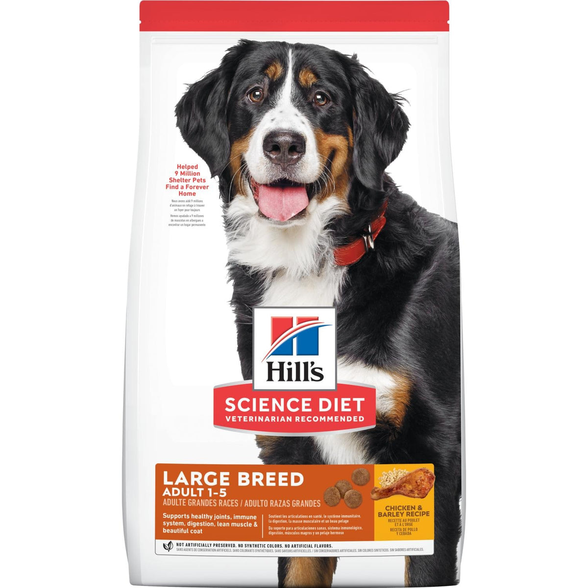 Hills Canine Adult Large Breed