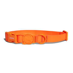 Zee Dog Neopro Collar